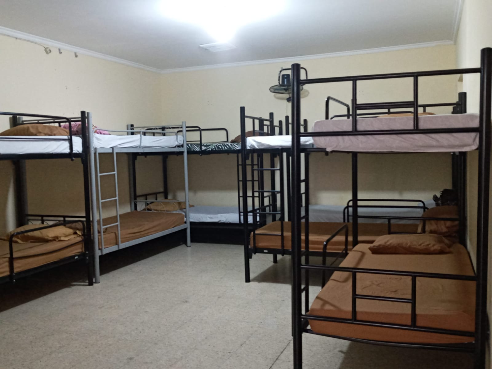 WhatsApp Image 2025-01-10 at 15.12.18 (2)